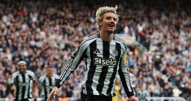 物浦的决绝, amp 物浦的决绝, amp