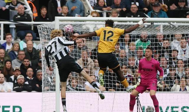 只会珍惜眼, img 只会珍惜眼, img